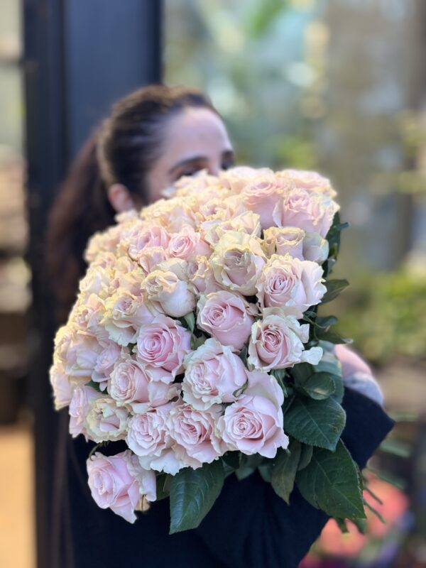 Pink Roses – Soft & Elegant