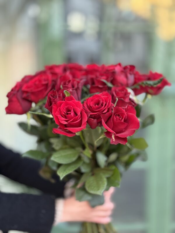 Premium Red Roses
